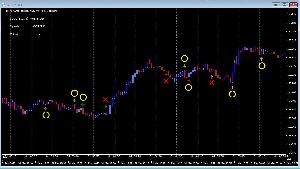 ハワイ・マウイ島山火事支援商品  トリプルMAシグナル