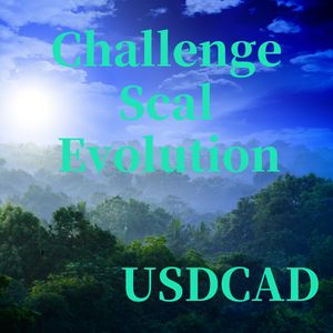 ChallengeScalEvolution USDCAD Tự động giao dịch