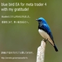 bluebird EA  メタトレーダー4(MT4)専用 自動売買ソフト(EAは2つ同梱) ซื้อขายอัตโนมัติ