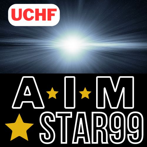 UCHF AIM STAR99 自動売買