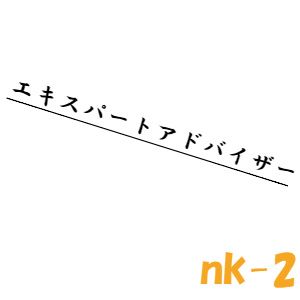 nk-2 自動売買