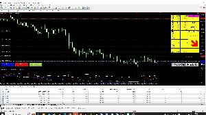 ナンピンフタシールドオート