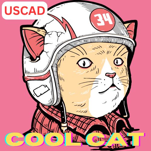 COOL CAT USCAD M30 自動売買
