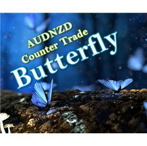 Butterfly_AUDNZD Auto Trading