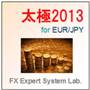 FX太極2013 for EURJPY 自動売買