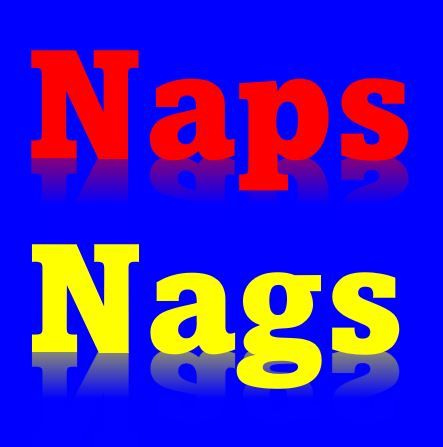 NapsNags 自動売買