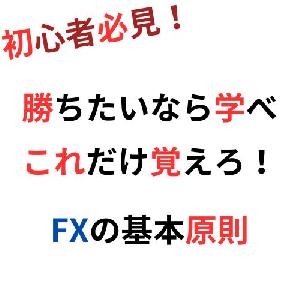 LAHO流　FX必須知識　ダウ理論/エリオット波動/過去検証のやり方/オマケつき