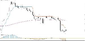 FXサインツール＋裁量　2セット販売