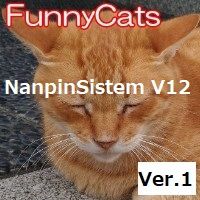 FC_Nanpin_System_V12_Ver.1 自動売買