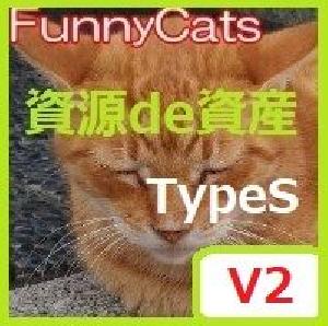FC_資源de資産_TypeS