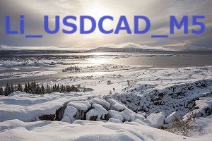 Li_USDCAD_M5 Auto Trading