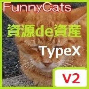 FC_資源de資産_TypeX