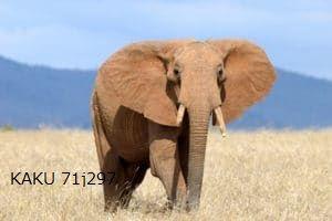 GBPUSDのナンピン専用で期間限定