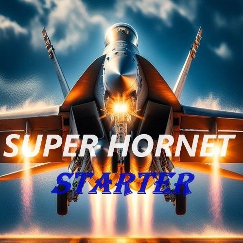 SUPER_HORNET_STARTER 自動売買