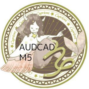 ryusei_capricorn_AUDCAD_M5 Auto Trading