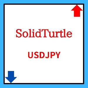 SolidTurtle