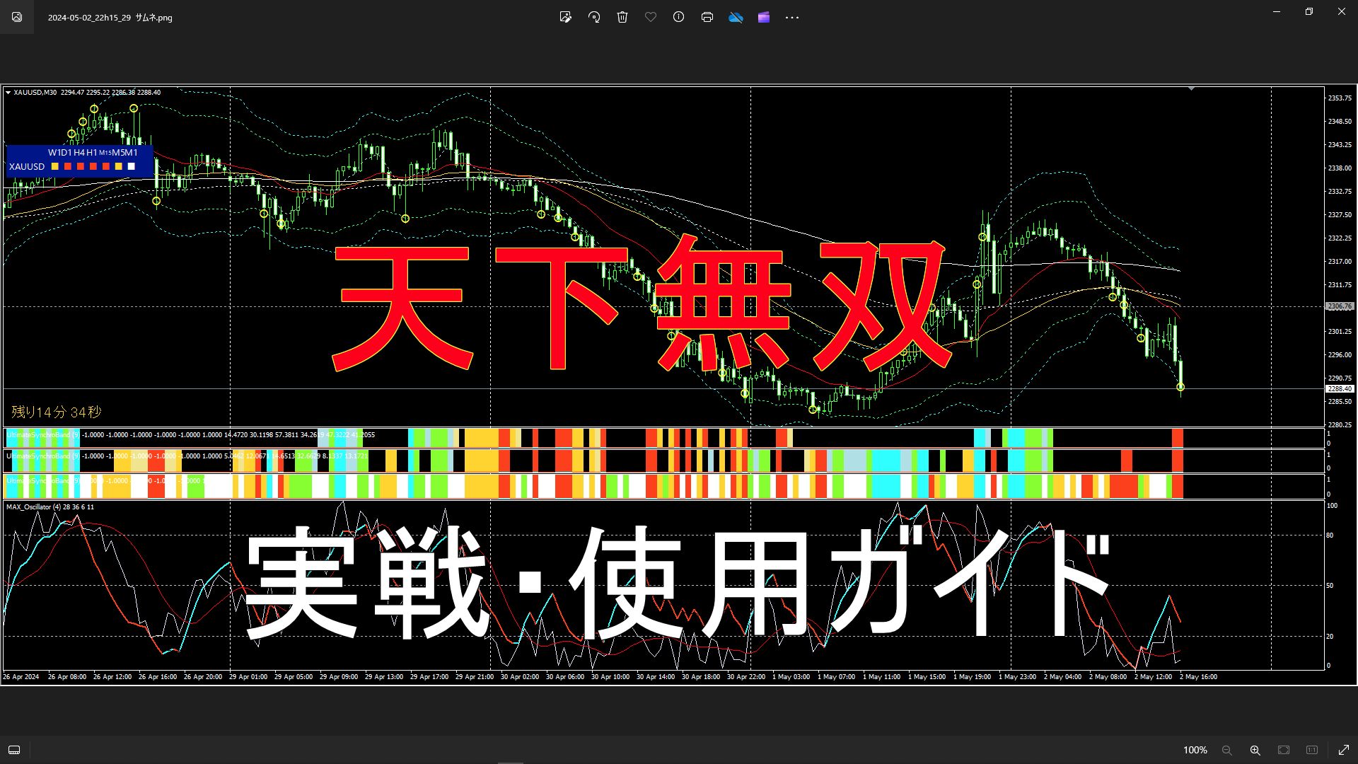 「天下無双」シンクロシステム・実戦使用ガイド Investment Navi+