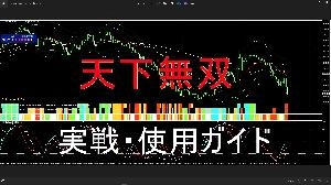 「天下無双」シンクロシステム・実戦使用ガイド 投資ナビ＋