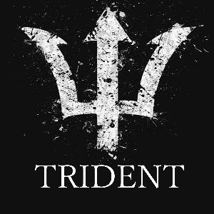 億トレーダー監修【TRIDENT】+相場急騰急落検知システム+急騰急落自動フルピラミッディング+短期間で爆含み益期待♪+スマフォ通知機能付き♪