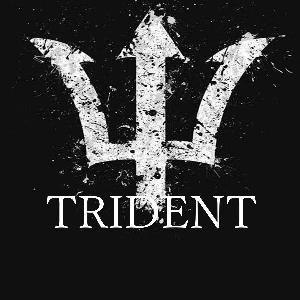 インタビュー無料特典【TRIDENT運用マニュアル】