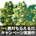 Golden Tree iArbitrage インジケーター・電子書籍