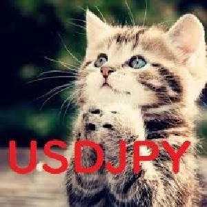 （DEMOバージョン）Daijunkan USDJPY Version