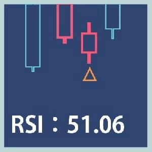 認定トレードマイスター監修！RSIデジタルインサイト+ 特典「相場に対する考え方」