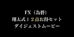 FX（為替）翔太式１２点お得セット【聖杯常勝トレードスキル継承プログラム】ダイジェストムービー