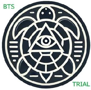 [トライアル版]破産確率と資金管理 BalsaraTurtleSurveillance (BTS)