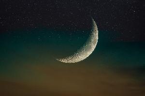 ビットコインEA　BTCUSD　15分足