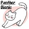 Panther_Bionic_AUDCAD_H1