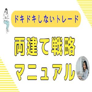 ドキドキしないトレード／両建て戦略マニュアル