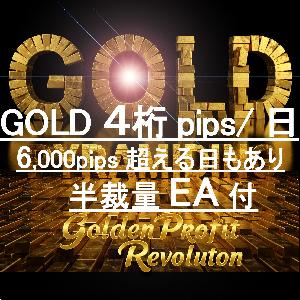 GOLD 4桁pips / 日