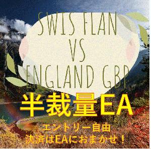 【全通貨対応】HAN_SAIRYO　決済補助ツール　【ナンピン、トレーリングストップ付】