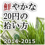 鮮やかな20円の拾い方　トレンドストリームレポート001 Indicators/E-books