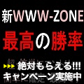 WWW-ZONE・脅威の反転率９５％・ダブルゾーン・矢印でエントリー！！！ インジケーター・電子書籍