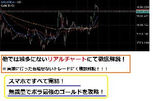 スマホFX 無裁量GOLD専用裏技手法教えます
