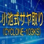 「小池式サヤ取り」（CYCLONE-103KS） Auto Trading