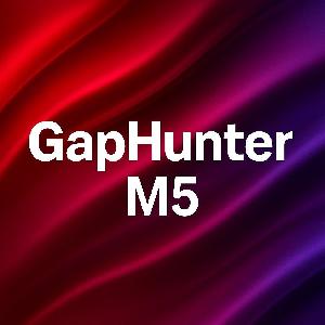 GapHunter M5（ギャップハンター　M5）