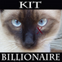 Kit Billionaire X 自動売買