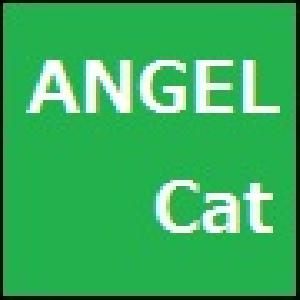 ANGEL_Cat