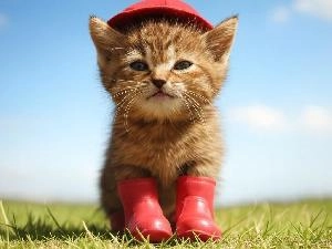 無料プレゼント「ムービングSR」 