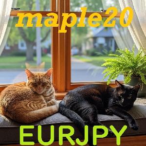 Maple20EURJPY