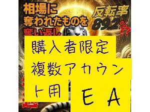 白虎EA購入者限定【複数アカウント用】