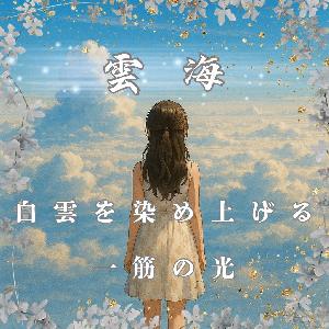 【 雲海 】白雲を染め上げる、ー筋の光