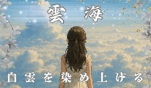 【雲海UNKAI】の記録 ──あなたの手法をワンランク上へ導く補助ツール Investment Navi+