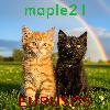 Maple21EURUSD5