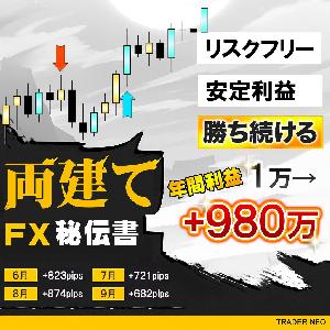 両建てFX秘伝書