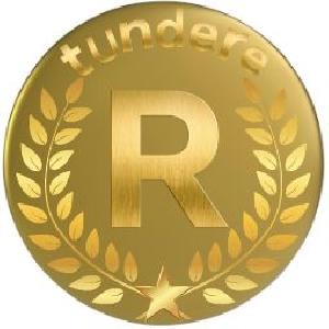 ピラミッティング裁量補助EA(半裁量)の最高峰！tundere【R】