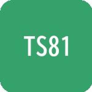 TS81